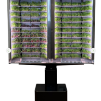 Вертикальная  ферма «Моя микрозелень» комплектация  «Театро настенная» - «globural.ru» - Клин