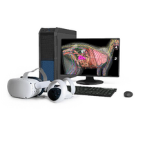 Макет масштабный "Скелет кошки" Масштаб 1:1 - «globural.ru» - Клин