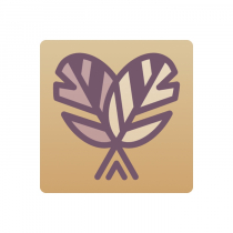 Тренажер-корректор зеркального письма “Почерк Леонардо” - «globural.ru» - Клин