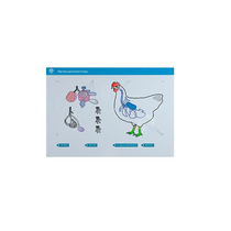 Стенд-планшет светодинамический "Изучение органов дыхания сельскохозяйственных животных" со сменными панелями - «globural.ru» - Клин