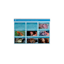 Стенд-планшет светодинамический "Изучение типических патологических процессов в организмах животных" - «globural.ru» - Клин