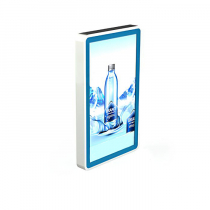 Видеопанель PROMO WALL 55 - «globural.ru» - Клин