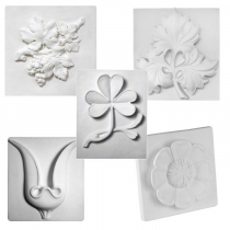 Комплект гипсовых моделей растений  - «globural.ru» - Клин