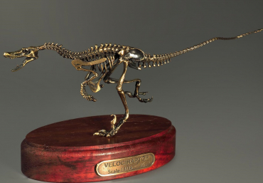 Модель скелета динозавра Velociraptor - «globural.ru» - Клин