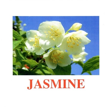 "Flowers-2" ("Цветы-2") английские карточки Домана - «globural.ru» - Клин