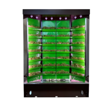 Вертикальная ферма "Моя Микрозелень" комплектация "Театро настольная" - «globural.ru» - Клин