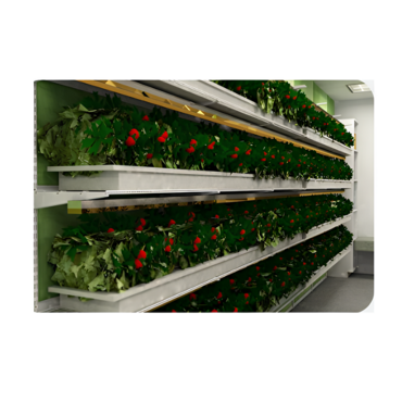 Стеллаж для выращивания клубники "Стена" - «globural.ru» - Клин