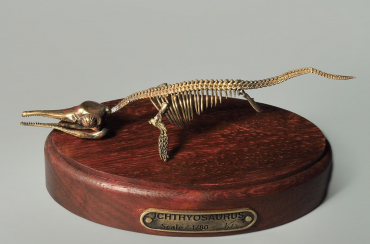 Модель скелета ихтиозавра Ichthyosaurus - «globural.ru» - Клин