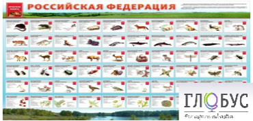 Стенд "Красная книга РФ" - «globural.ru» - Клин