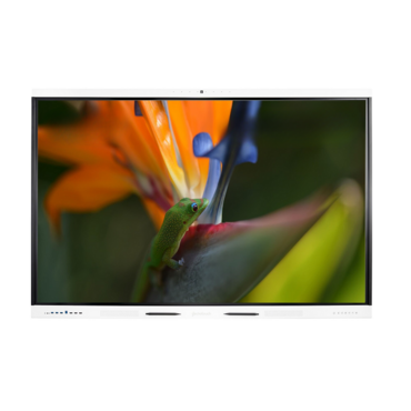 Интерактивная панель Geckotouch Interactive 98SL - «globural.ru» - Клин