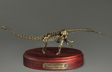Модель скелета динозавра Diplodocus (вариант 1) - «globural.ru» - Клин