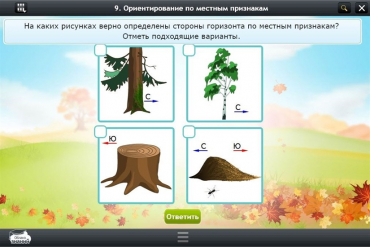 Интерактивные курсы. Окружающий мир 1 класс. Базовый - «globural.ru» - Клин