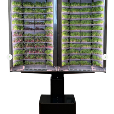 Вертикальная  ферма «Моя микрозелень» комплектация  «Театро настенная» - «globural.ru» - Клин