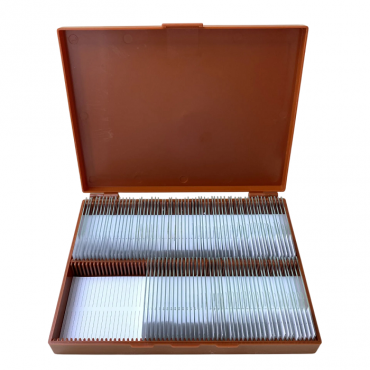 Комплект микропрепаратов по анатомии, ботанике, зоологии, общей биологии - «globural.ru» - Клин