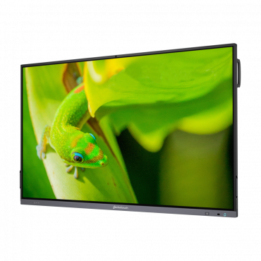 Интерактивный программно-аппаратный комплекс Geckotouch Interactive IP75GT-C в комплекте с настенным креплением - «globural.ru» - Клин