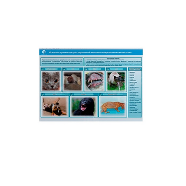 Стенд-планшет светодинамический «Острые отравления животных лекарственными препаратами» - «globural.ru» - Клин
