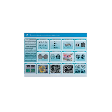 Стенд-планшет светодинамический «Изучение систематики и номенклатуры микроорганизмов» - «globural.ru» - Клин