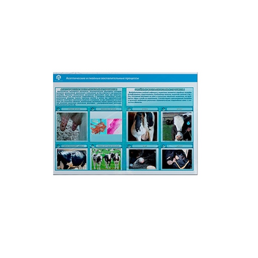 Стенд-планшет светодинамический «Изучение асептических и гнойных воспалительных процессов» - «globural.ru» - Клин