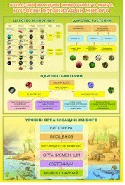 Стенд "Классификация животного мира" - «globural.ru» - Клин