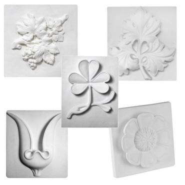 Комплект гипсовых моделей растений  - «globural.ru» - Клин